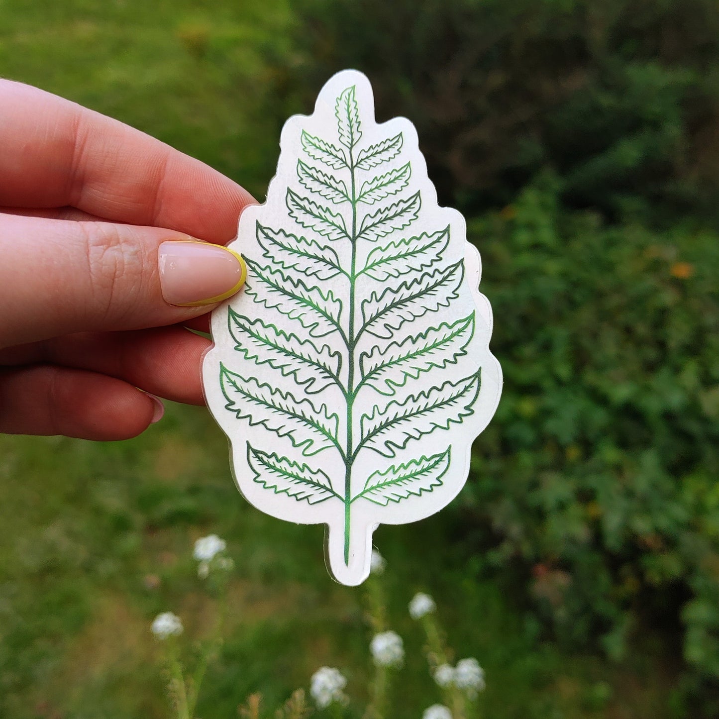 Fern Sun Catcher Decal