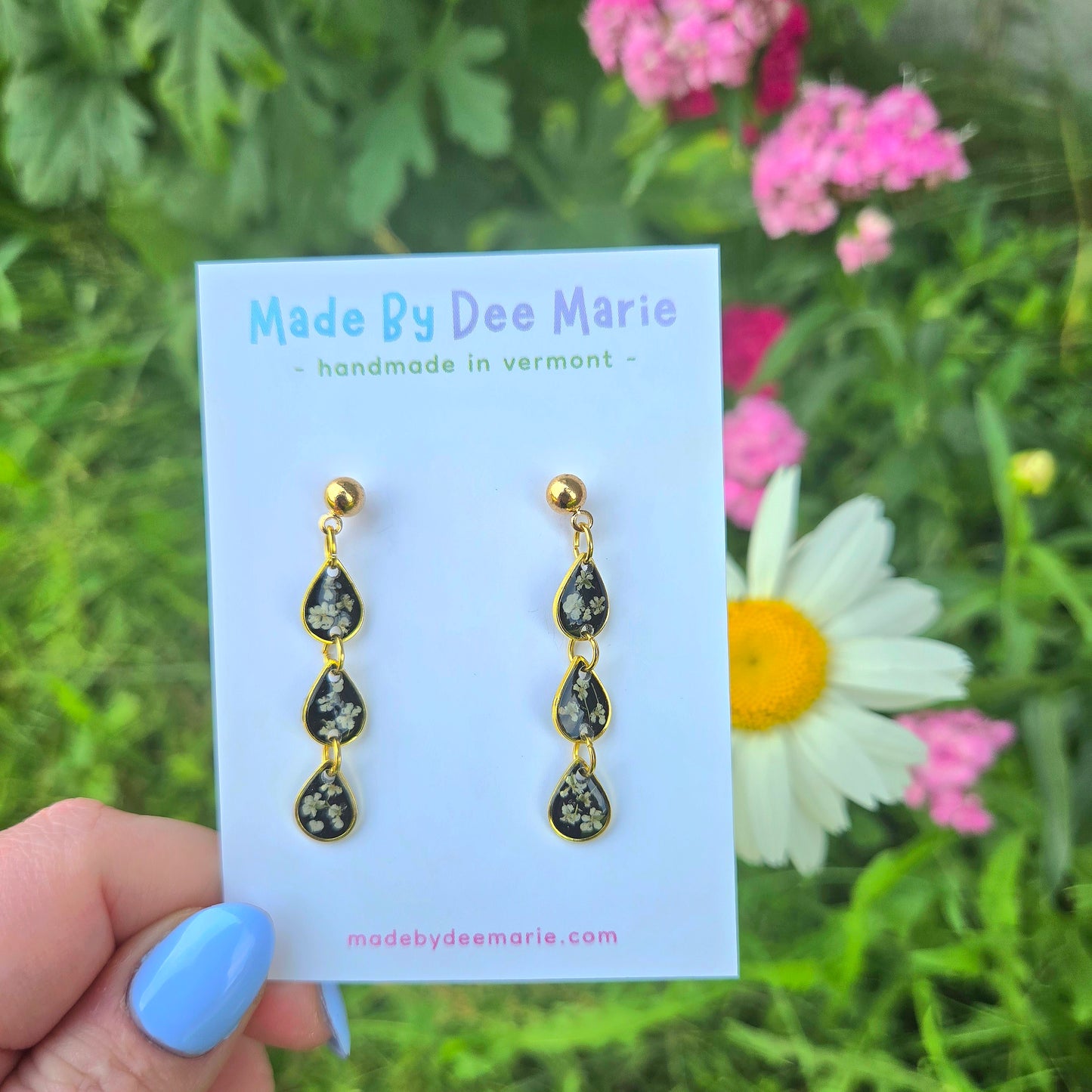 Queen Anne's Tear Drops