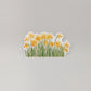 Live Like Lydia Sticker - Daffodils