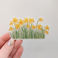 Live Like Lydia Sticker - Daffodils