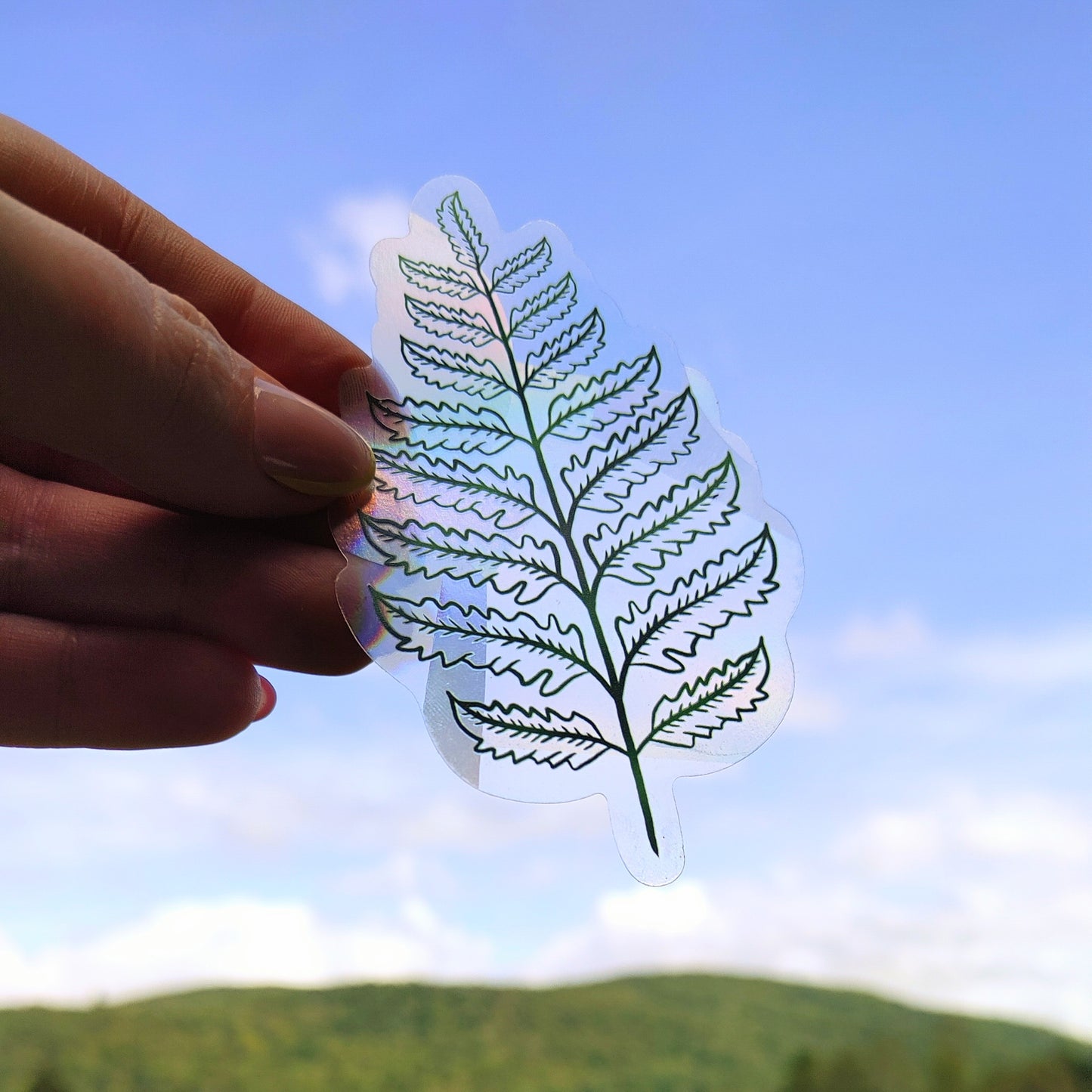 Fern Sun Catcher Decal