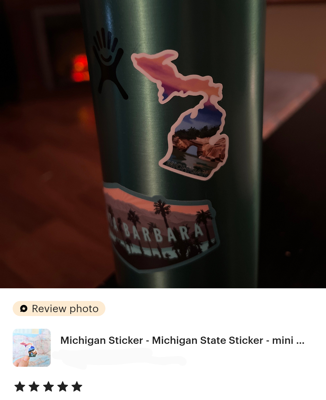 Michigan State Sticker